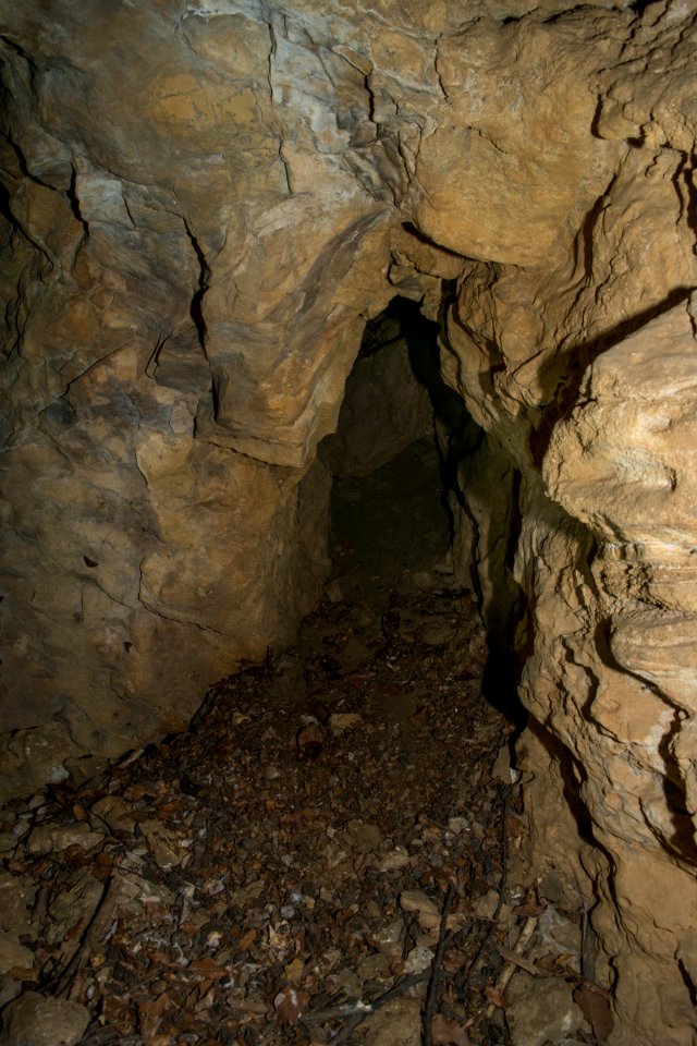 Kastenberghöhle (A 153) 67