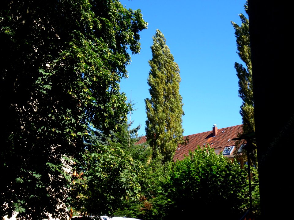 Karl-Liebknechtstraße, Pirna DSC05472
