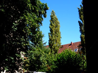 Karl-Liebknechtstraße, Pirna DSC05472