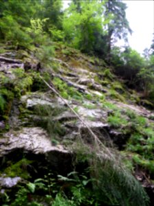 Karlsruher-Grat-2016-07-03-11