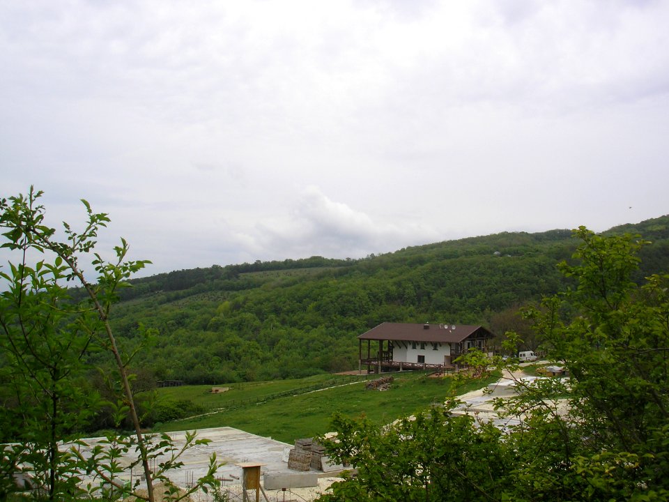 Karlo 3