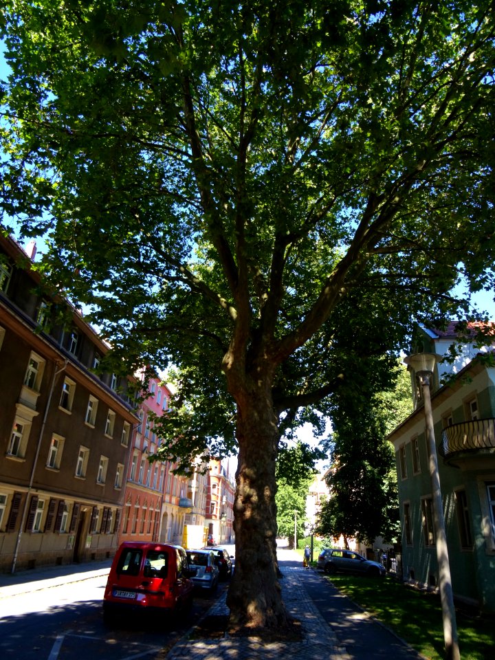 Karl-Liebknechtstraße, Pirna DSC05464