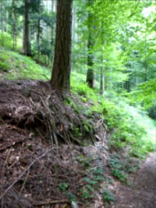 Karlsruher-Grat-2016-07-03-06