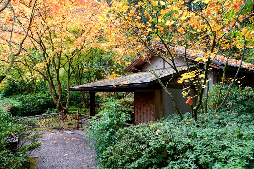 Kashintei Tea House - Portland Japanese Garden - Portland, Oregon - DSC08284