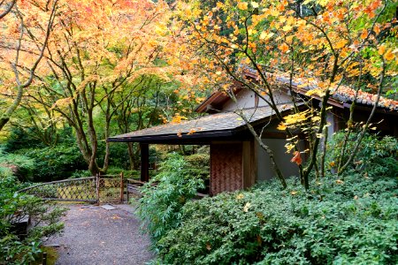 Kashintei Tea House - Portland Japanese Garden - Portland, Oregon - DSC08284