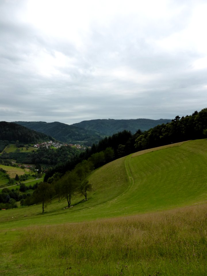 Karlsruher-Grat-2016-07-03-34