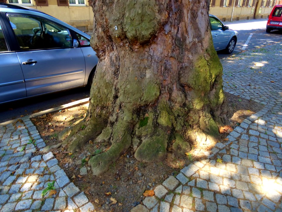 Karl-Liebknechtstraße, Pirna DSC05466