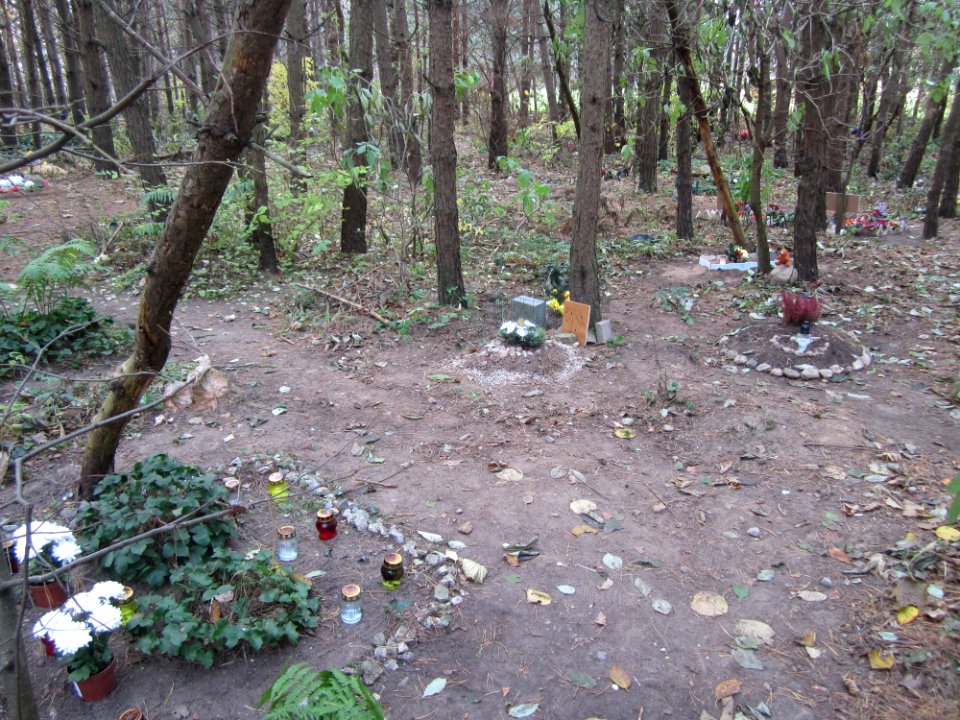 Karoliniškės Pet Cemetery, 2015 12
