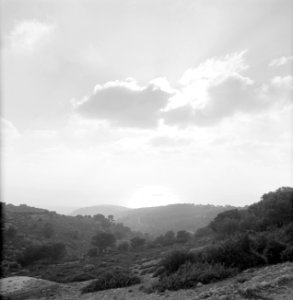 Karmelgebergte Zonsopgang, Bestanddeelnr 255-2125