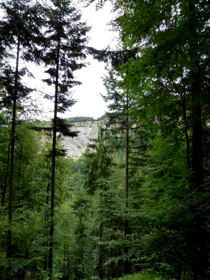 Karlsruher-Grat-2016-07-03-07