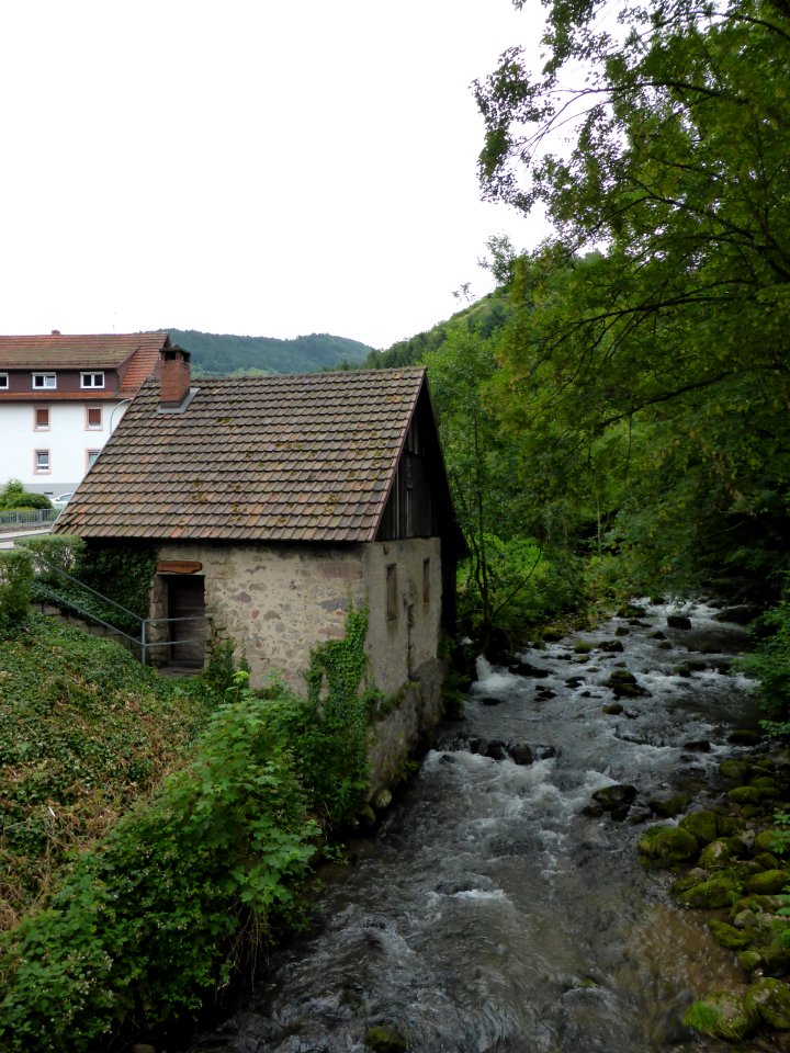 Karlsruher-Grat-2016-07-03-Hammerschmiede-2