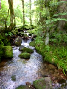 Karlsruher-Grat-2016-07-03-09