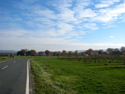 Karm HIP (3)