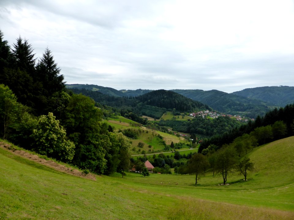 Karlsruher-Grat-2016-07-03-35