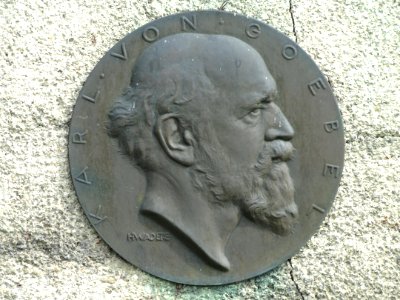 Karl von Goebel memorial - DSC07545