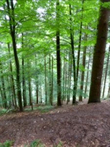 Karlsruher-Grat-2016-07-03-05
