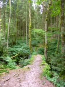 Karlsruher-Grat-2016-07-03-17