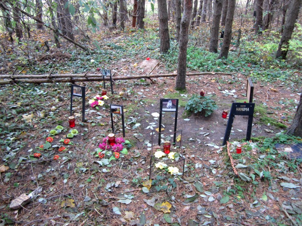 Karoliniškės Pet Cemetery, 2015 25