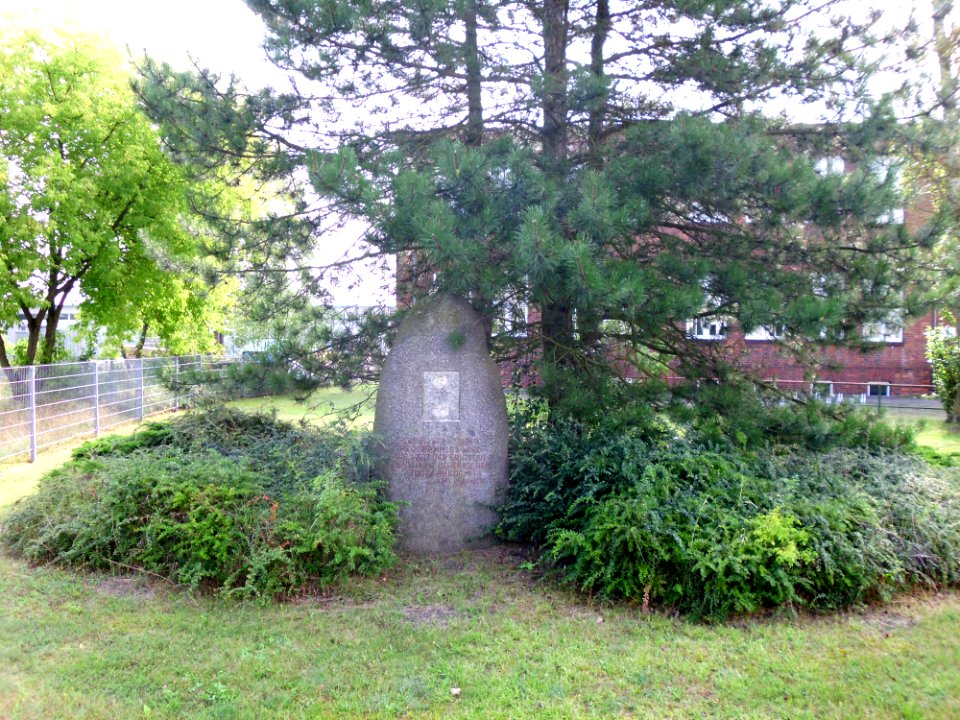 Karl-Liebknecht-Gedenkstein 1