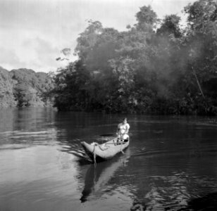 Korjaal op een rivier in Suriname, Bestanddeelnr 252-5616