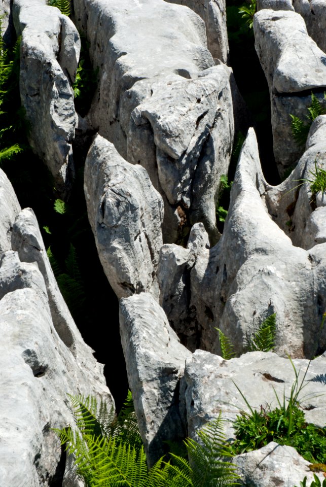 Karren am Dürrenstein