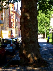Karl-Liebknechtstraße, Pirna DSC05465