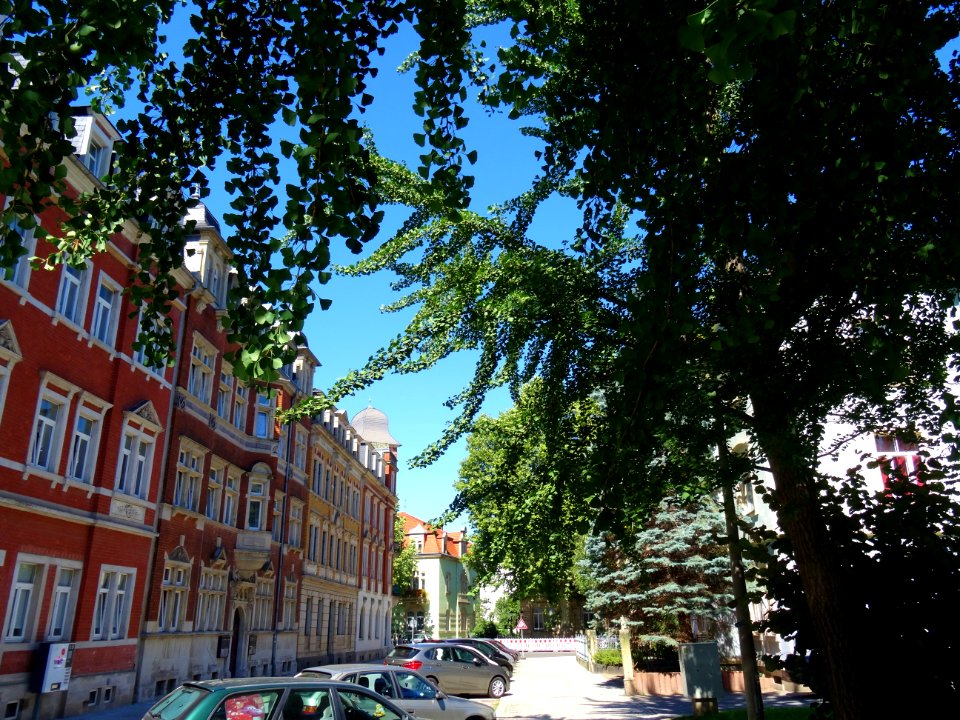 Karl-Liebknechtstraße, Pirna DSC05483