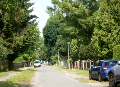 Karow Löns W