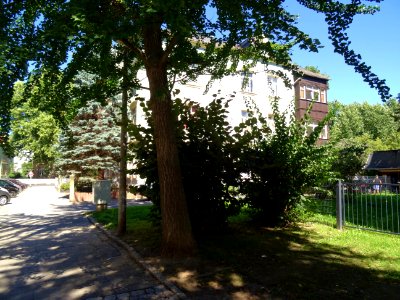 Karl-Liebknechtstraße, Pirna DSC05484