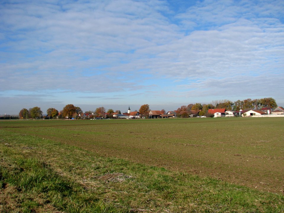 Karm HIP (6)
