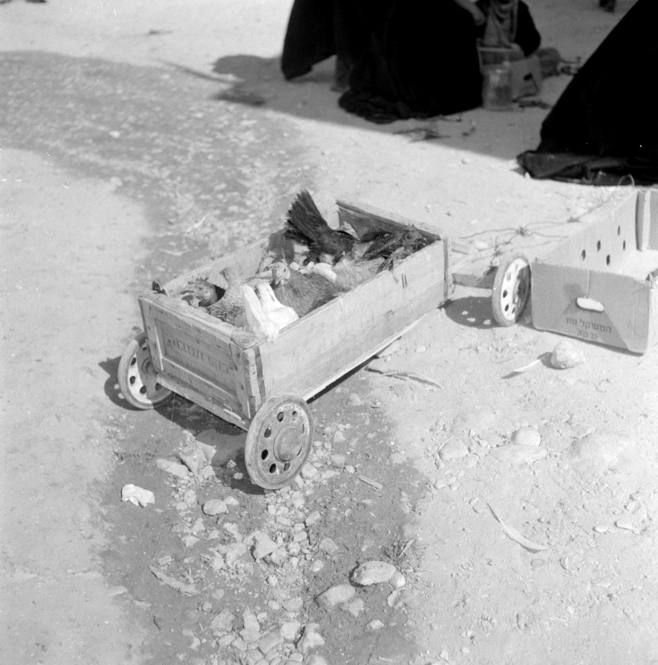 Karretje met pluimvee op de markt, Bestanddeelnr 255-3456