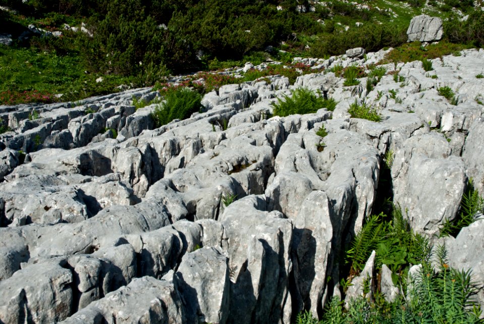 Karren am Dürrensteinplateau