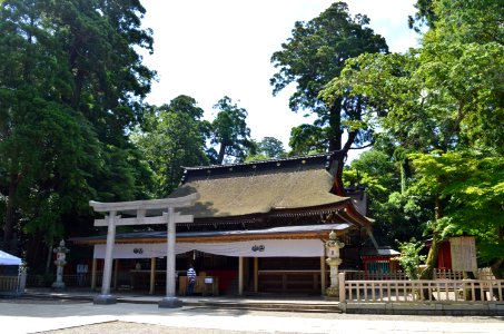 Kashima-jingu haiden-2 photo