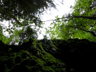Karlsruher-Grat-2016-07-03-18