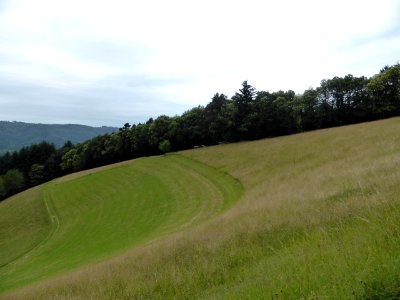 Karlsruher-Grat-2016-07-03-33