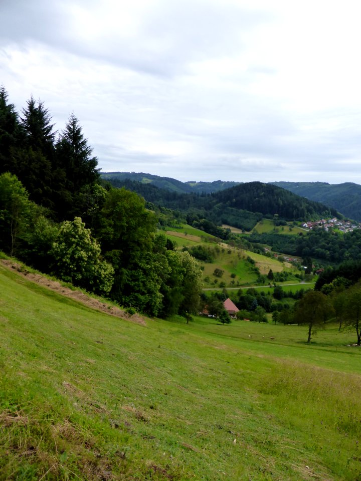Karlsruher-Grat-2016-07-03-36