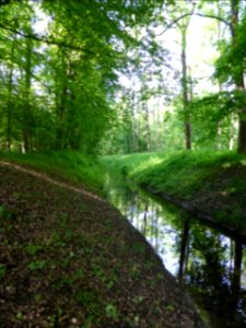 Karlsruhe-Tierpark-Oberwald-2
