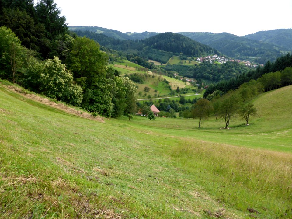 Karlsruher-Grat-2016-07-03-37