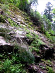 Karlsruher-Grat-2016-07-03-12