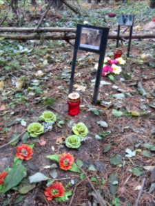 Karoliniškės Pet Cemetery, 2015 22