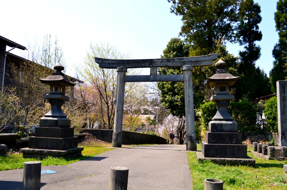 Kota-jinja (Joetsu) torii