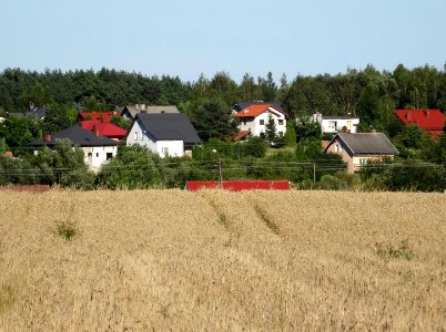 Koronowo Okole 3 7-2016