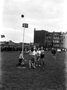 Korfbalwedstrijd Westerkwartier-Blauw-wit, Bestanddeelnr 901-9341