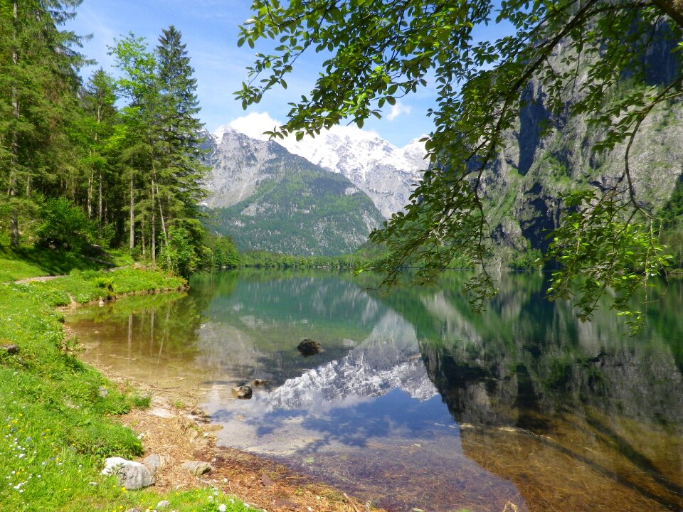 Mirroring landscape forest
