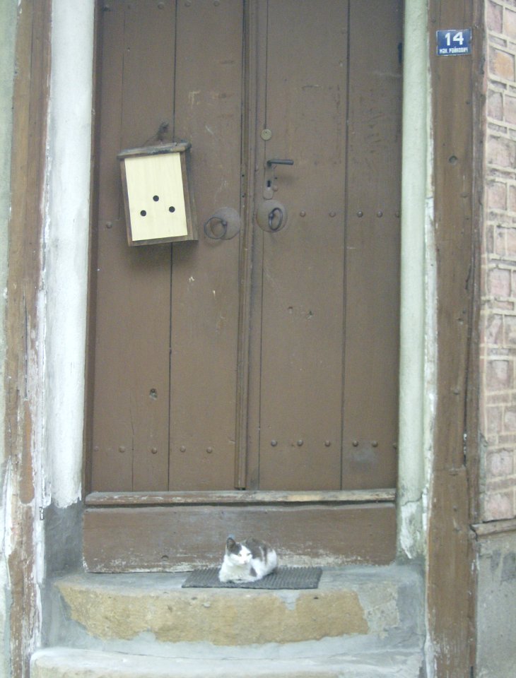 Kote Veliko Turnovo