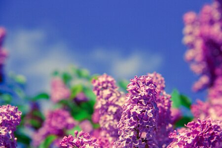 Nature spring health
