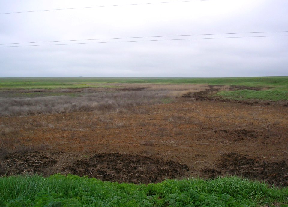 Korovinskaya creek 3