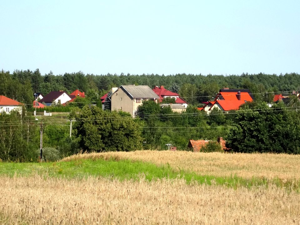 Koronowo Okole 4 7-2016