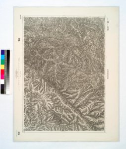 Kornyareva. NYPL1226913