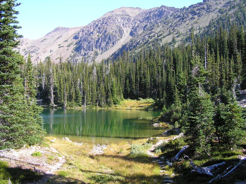 Olympic national park washington usa